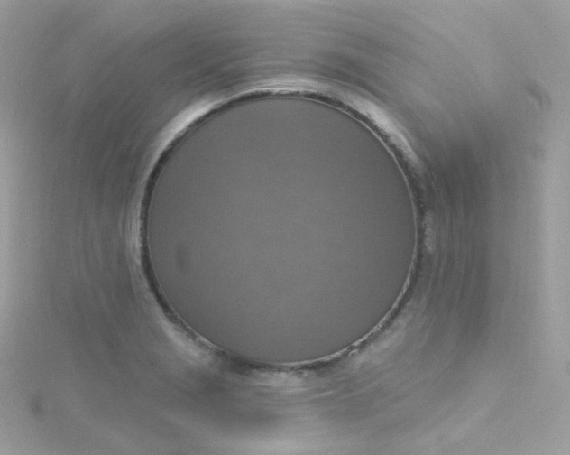 X0000115611229200911241609