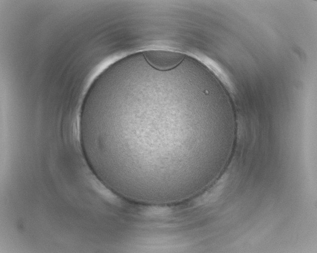 X0000115611238200911241609