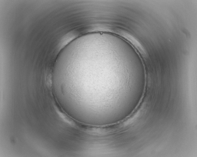 X0000115611241200911241609