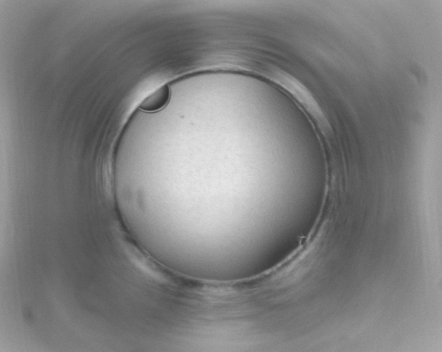 X0000115611242200911241609