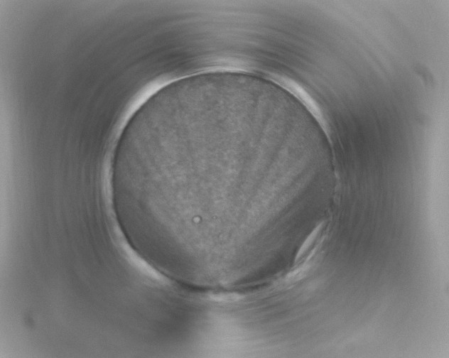 X0000115611243200911241609