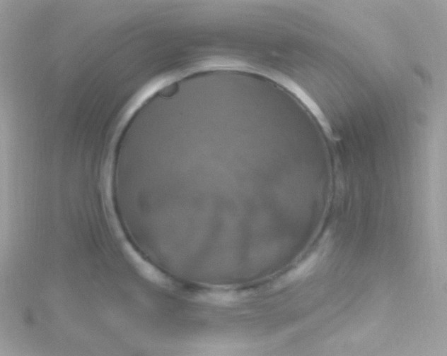 X0000115611245200911241609