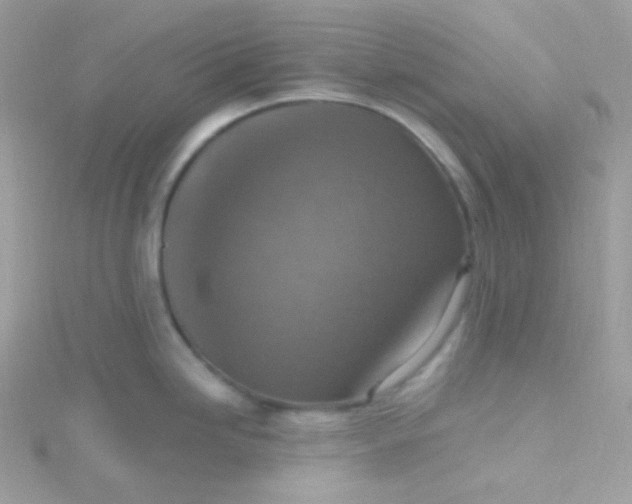 X0000115611246200911241609