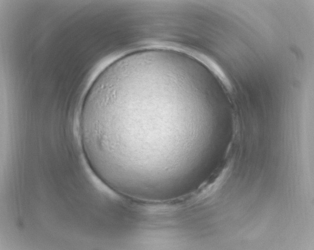 X0000115611247200911241609