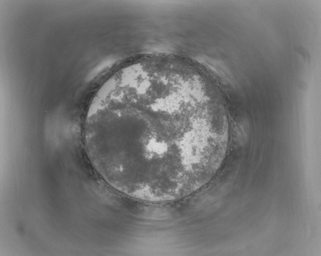 X0000115611254200911241609