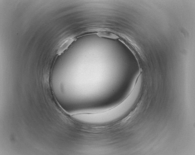 X0000115611273200911241608