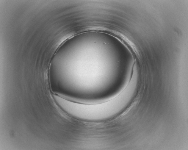 X0000115611281200911241608