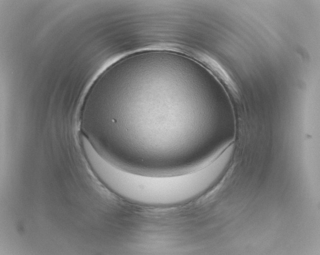 X0000115611284200911241608