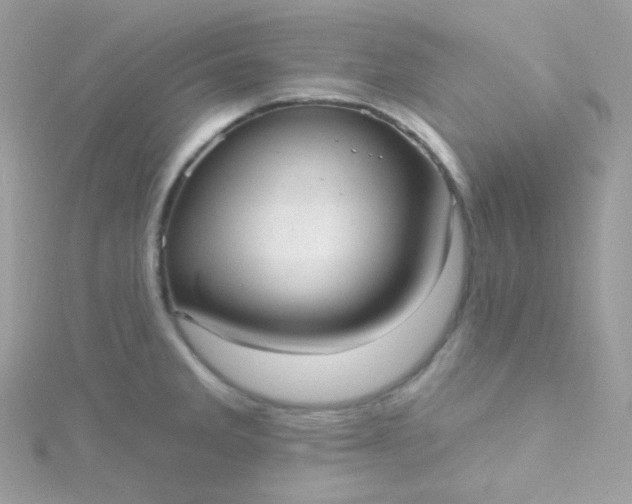 X0000115611285200911241608