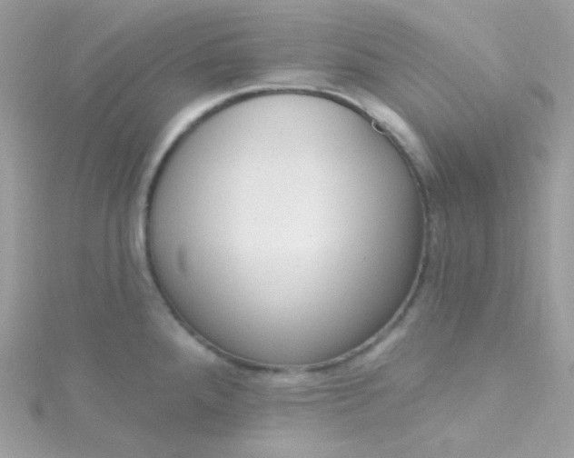 X0000115611288200911241608