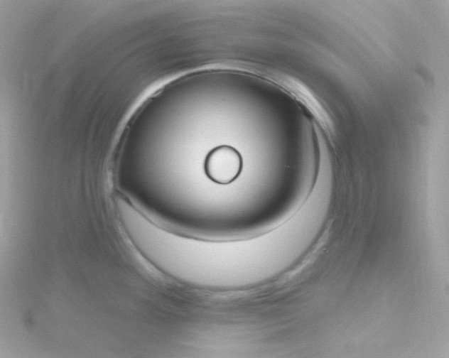X0000115611292200911241608