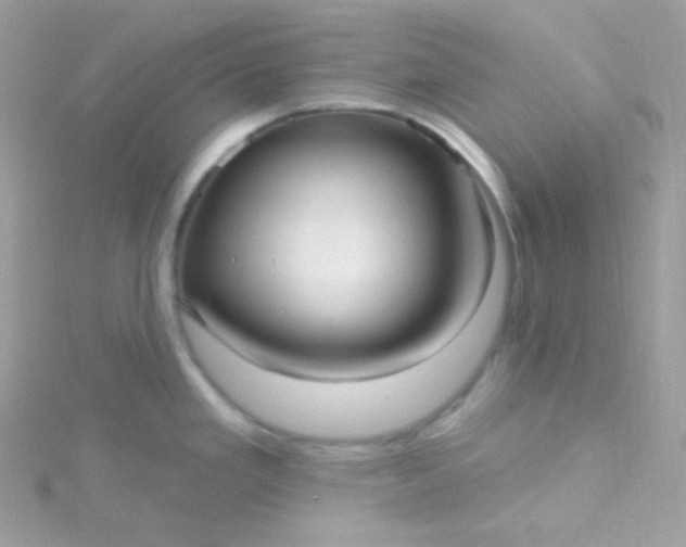 X0000115611293200911241608