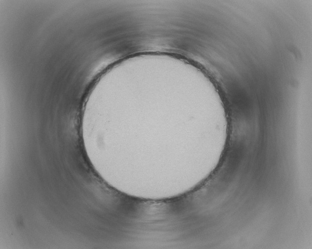 X0000115611314200911241608