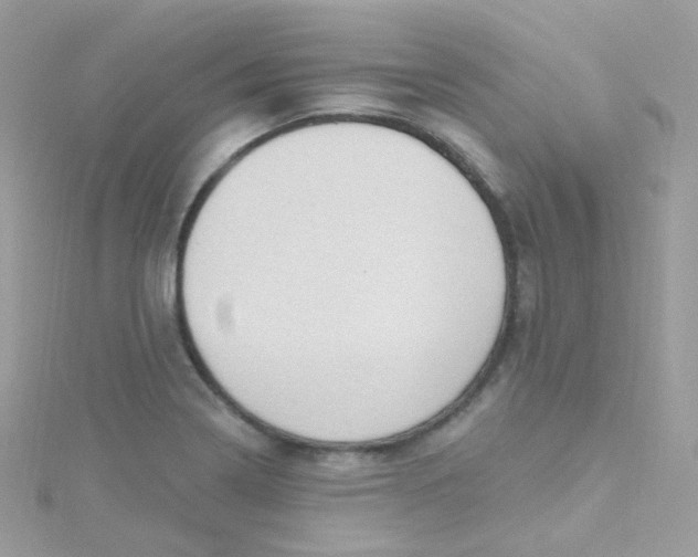 X0000115611322200911241608