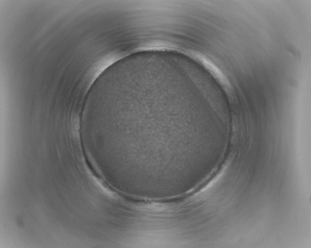 X0000115611329200911241608
