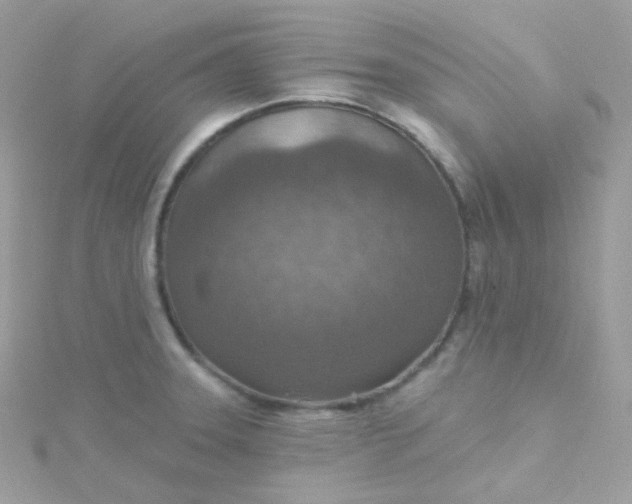 X0000115611331200911241608