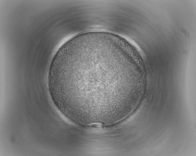 X0000115611333200911241608