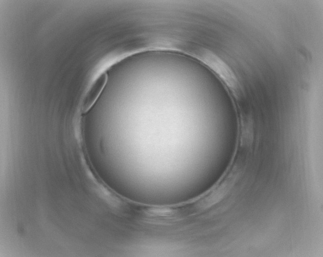 X0000115611342200911241608