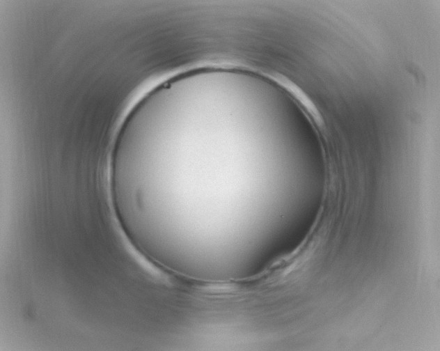 X0000115611343200911241608