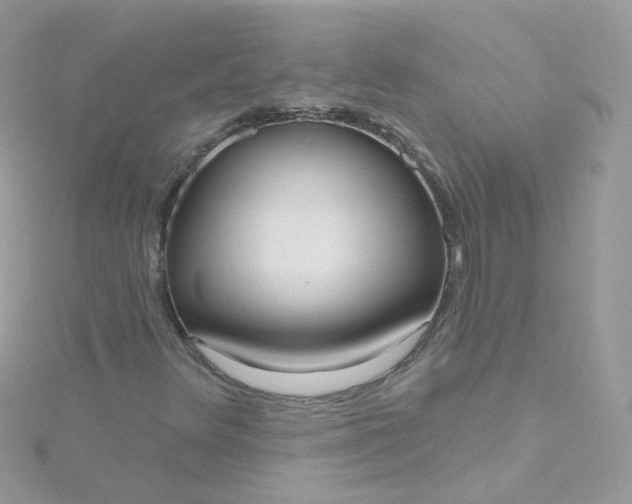X0000115611348200911241607