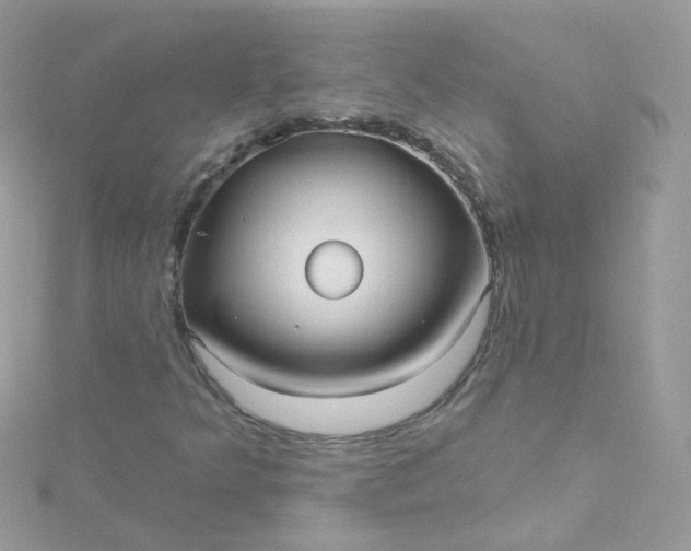 X0000115611349200911241607