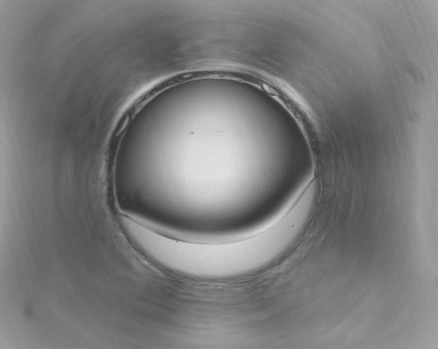 X0000115611364200911241607