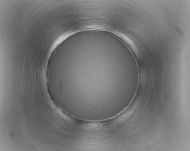 X0000115611373200911241607
