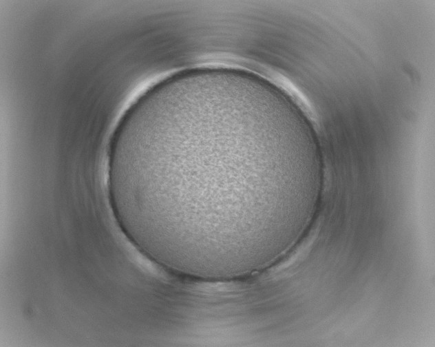 X0000115611376200911241607