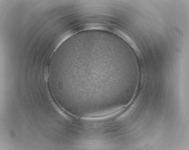 X0000115611377200911241607