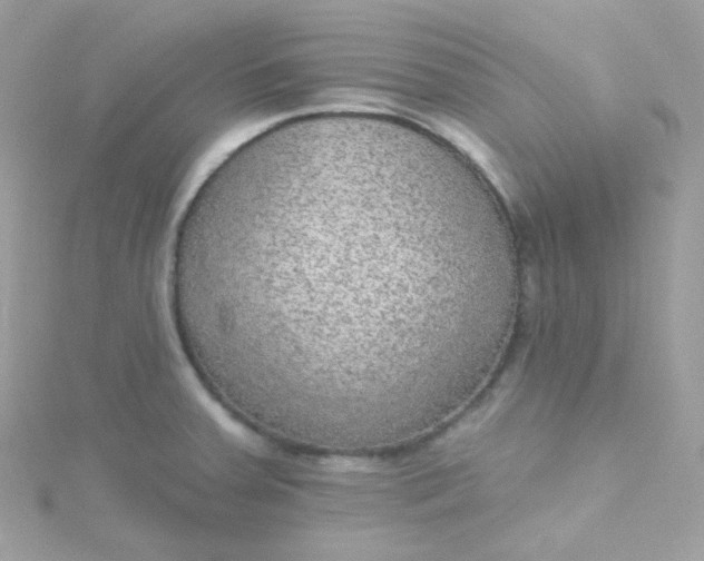 X0000115611379200911241607