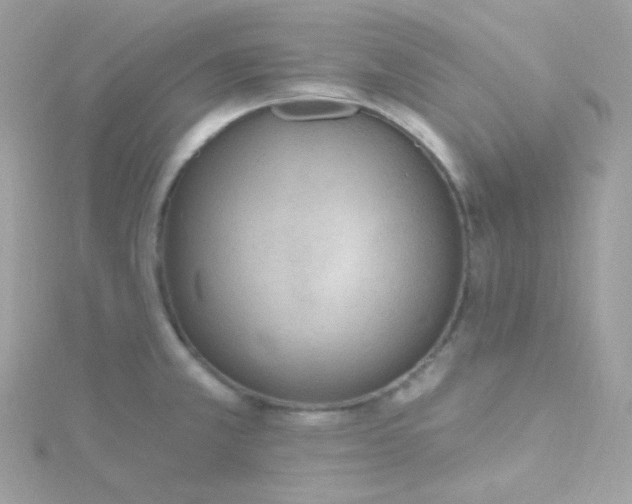 X0000115611381200911241607