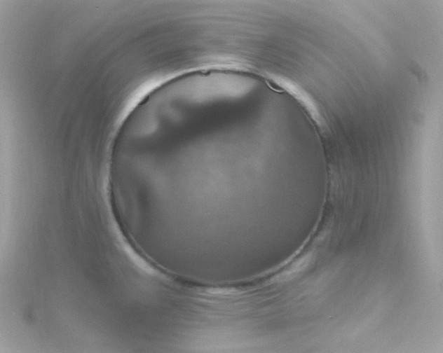 X0000115611383200911241607