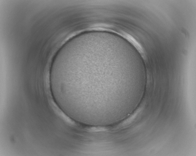 X0000115611384200911241607