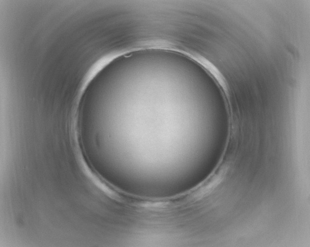 X0000115611389200911241607