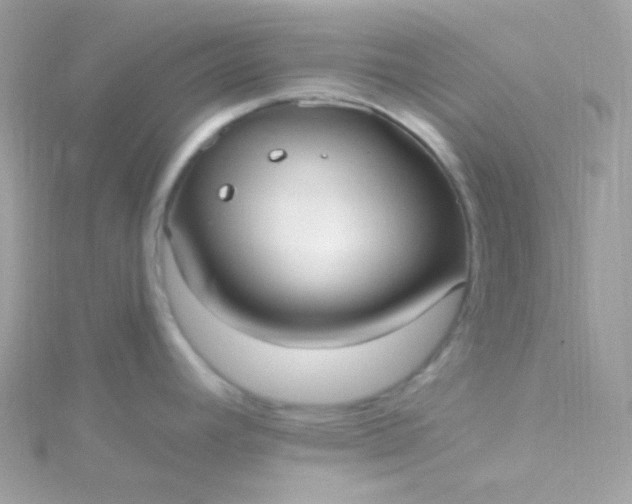 X0000115611392200911241607