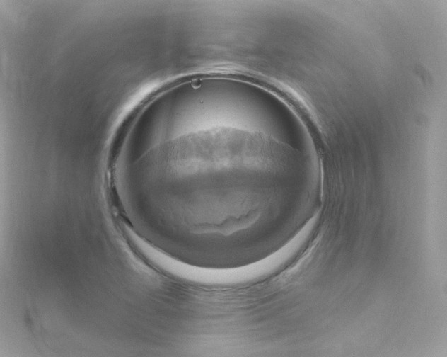 X0000115611414200911241606