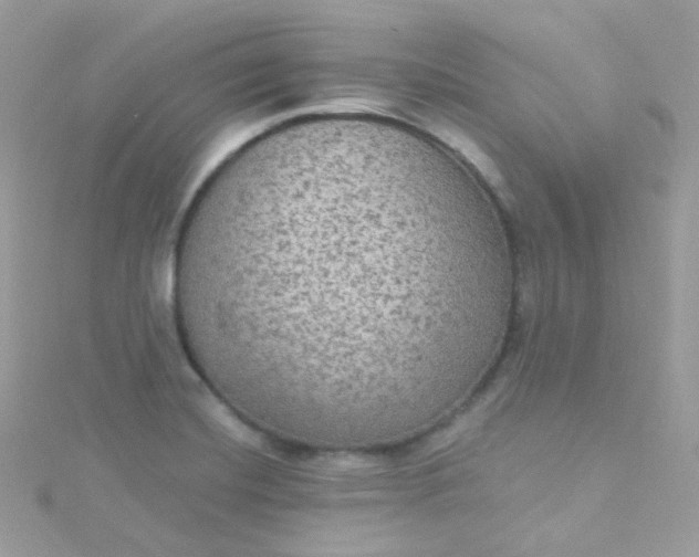 X0000115611420200911241606