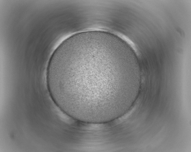 X0000115611423200911241606