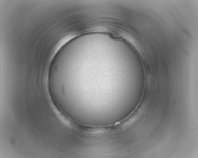 X0000115611426200911241607