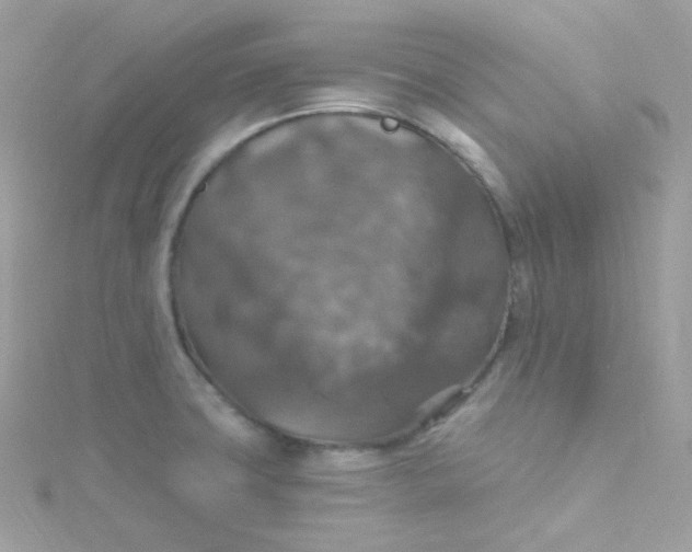 X0000115611427200911241607