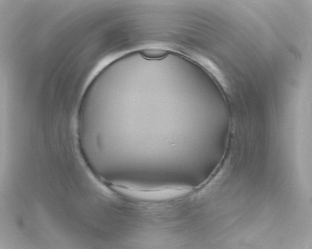 X0000115611428200911241607