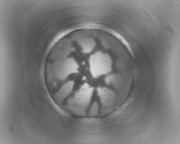 X0000115611429200911241607