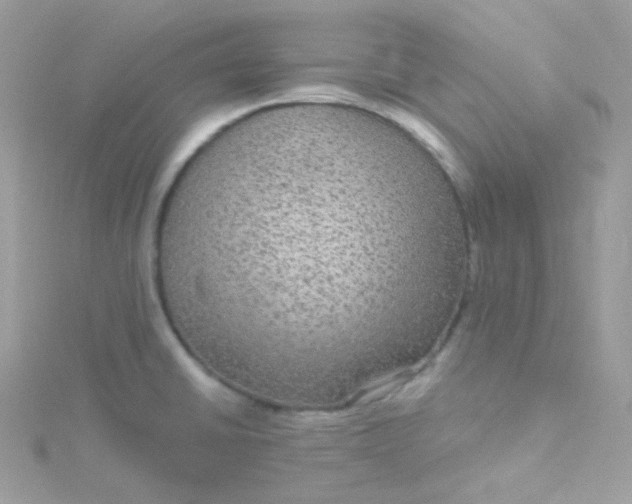 X0000115611430200911241607