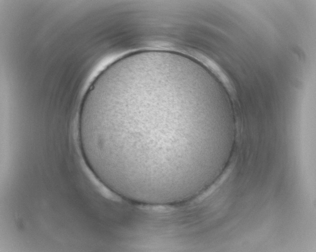 X0000115611432200911241607
