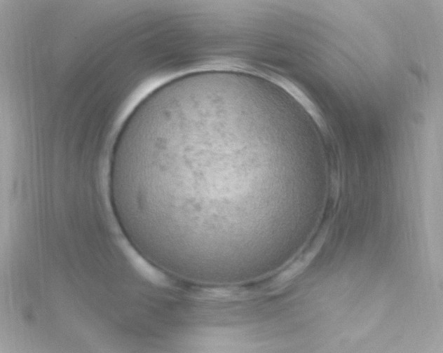 X0000115611438200911241607