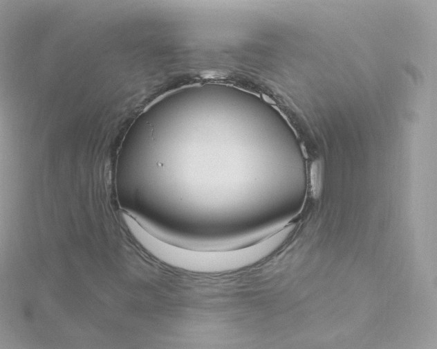 X0000115611443200911241606