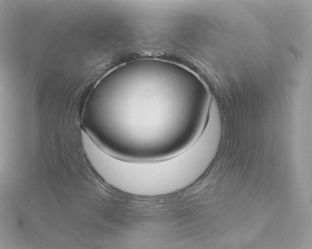 X0000115611444200911241606