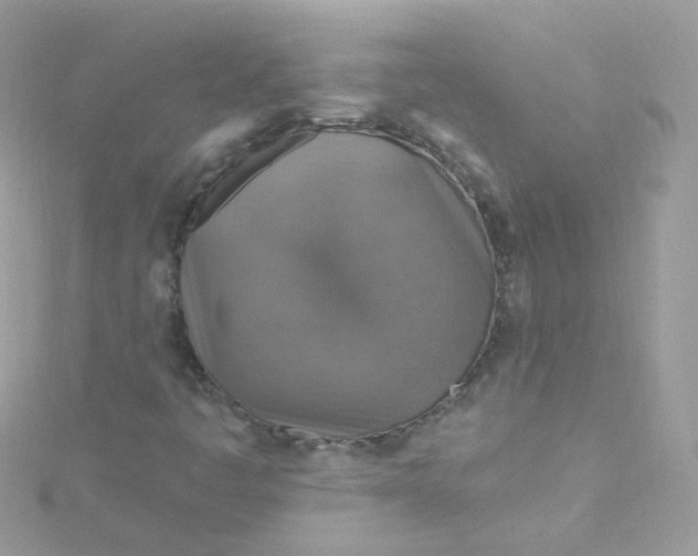 X0000115611445200911241606