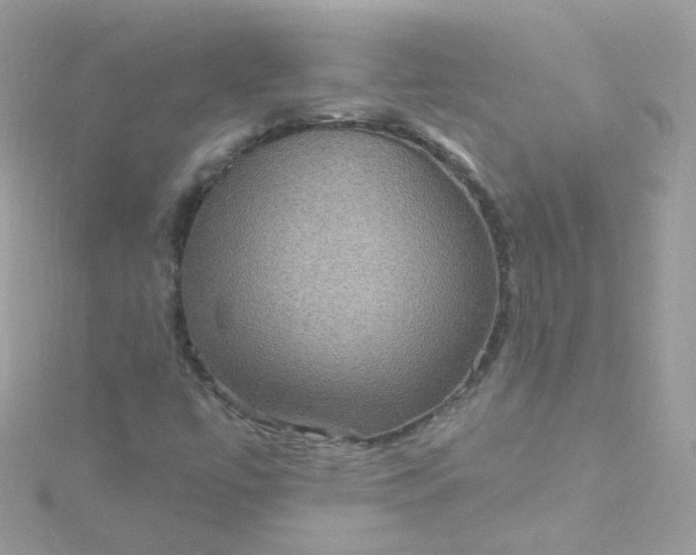 X0000115611447200911241606