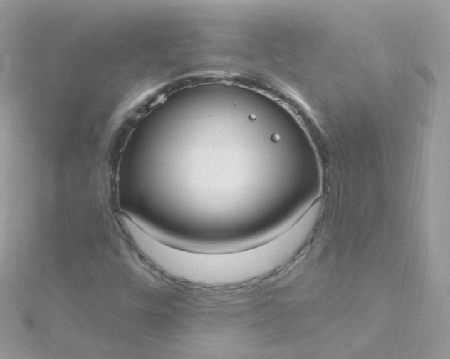 X0000115611448200911241606